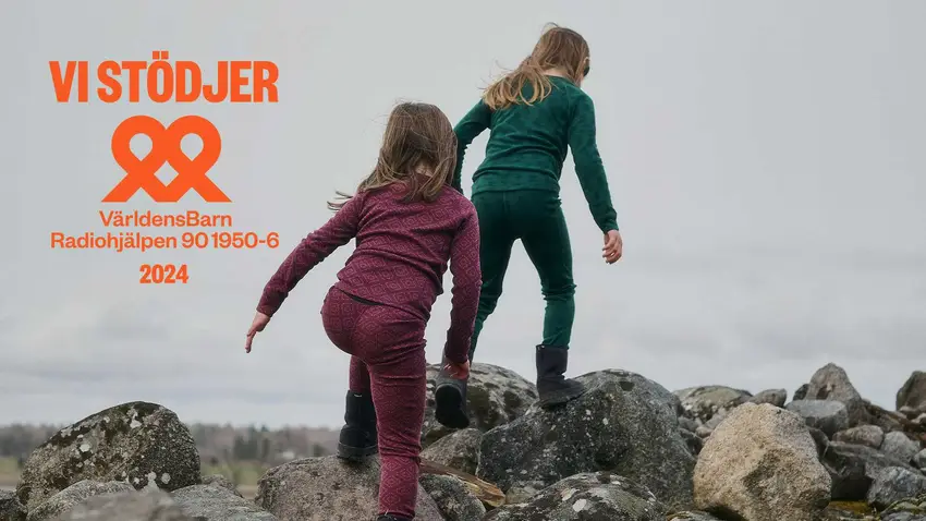 Relaterade artiklar-bild