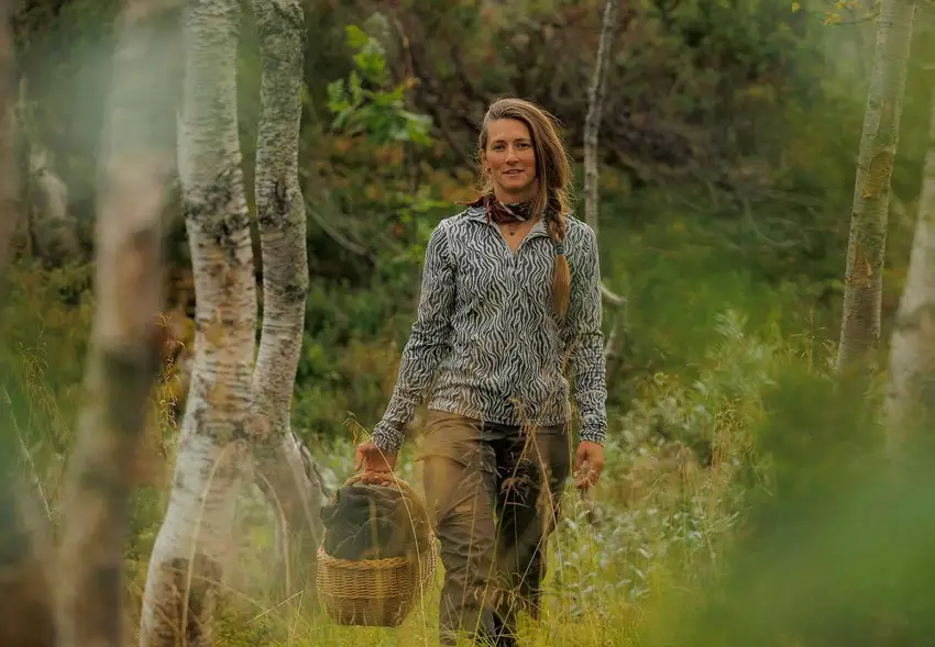 Relaterade artiklar-bild