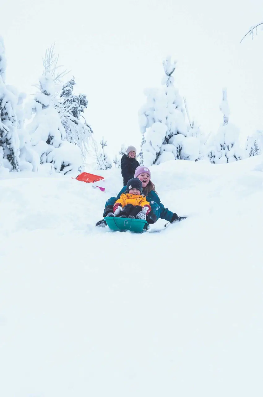 Relaterade artiklar-bild