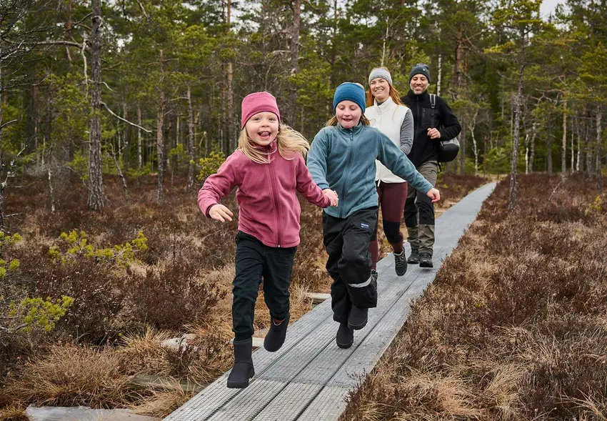 Relaterade artiklar-bild