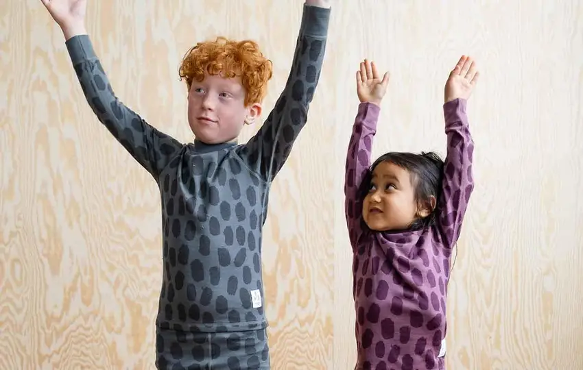 Relaterade artiklar-bild